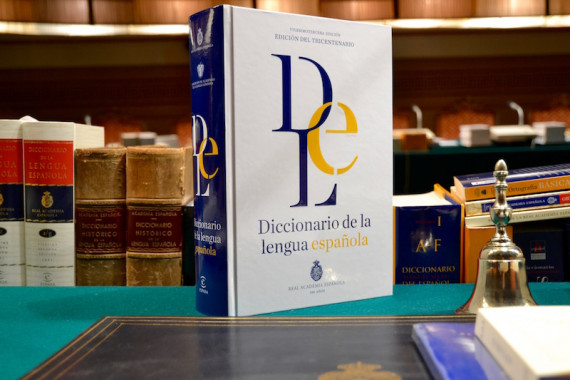 Caidis - 👉La Real Academia Española (RAE) ha actualizado la nueva  definición de ´discapacidad´ en el Diccionario de la Lengua Española, que  pasa a ser precisada como “situación de la persona que